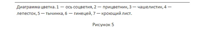 Оформление диаграмм, графиков и схем в дипломе